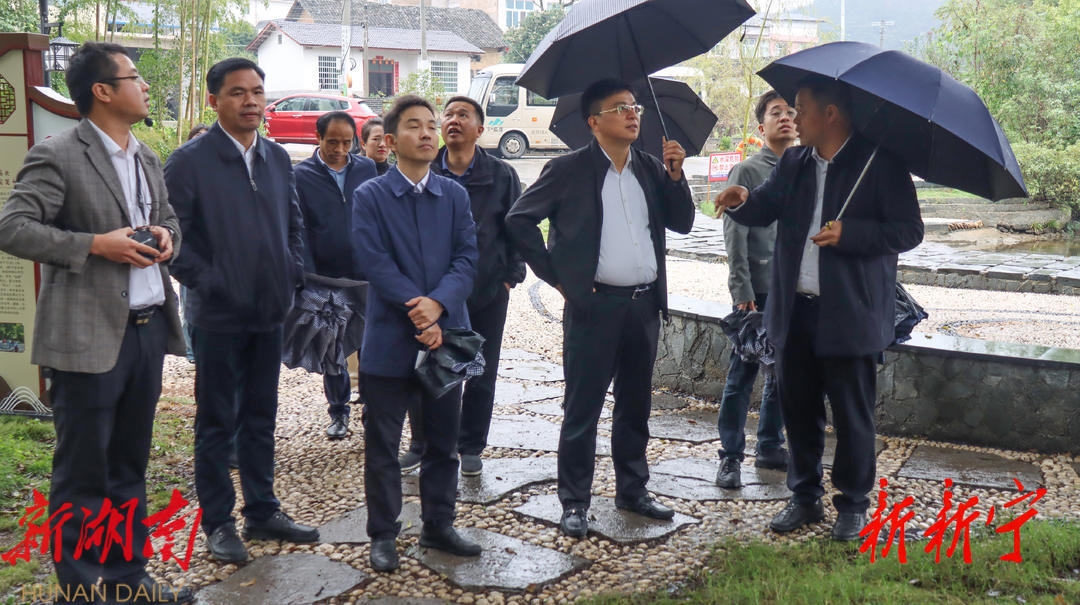 省绿委办来新核验省级森林城市创建工作_邵阳头条网